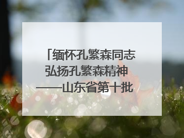 缅怀孔繁森同志 弘扬孔繁森精神——山东省第十批援藏干部人才清明节前到岗巴县开展党性教育