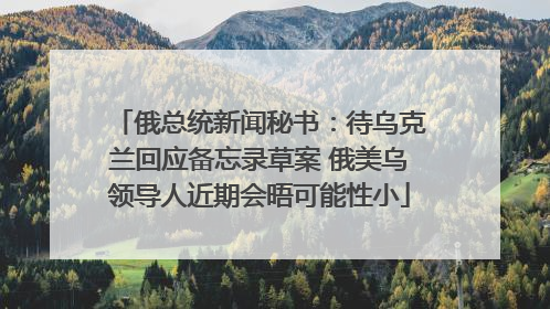 俄总统新闻秘书：待乌克兰回应备忘录草案 俄美乌领导人近期会晤可能性小