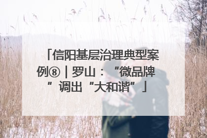 信阳基层治理典型案例⑧｜罗山：“微品牌”调出“大和谐”