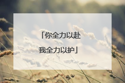 你全力以赴 我全力以护