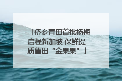 侨乡青田首批杨梅启程新加坡 保鲜提质售出“金果果”