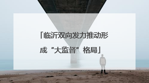 临沂双向发力推动形成“大监督”格局
