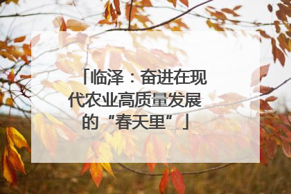 临泽：奋进在现代农业高质量发展的“春天里”