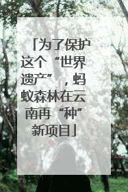 为了保护这个“世界遗产”，蚂蚁森林在云南再“种”新项目