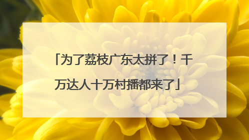 为了荔枝广东太拼了！千万达人十万村播都来了