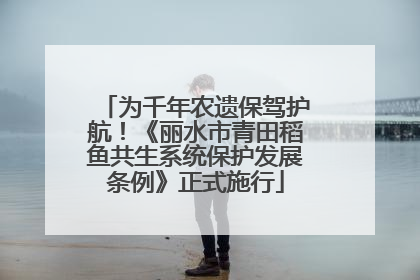 为千年农遗保驾护航！《丽水市青田稻鱼共生系统保护发展条例》正式施行