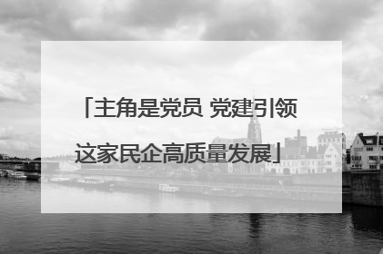 主角是党员 党建引领这家民企高质量发展