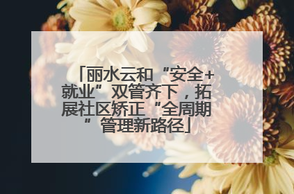 丽水云和“安全+就业”双管齐下，拓展社区矫正“全周期”管理新路径