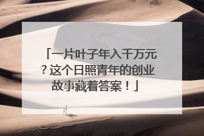 一片叶子年入千万元？这个日照青年的创业故事藏着答案！