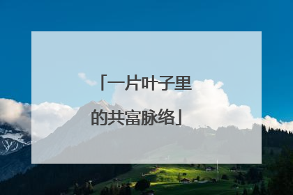 一片叶子里的共富脉络