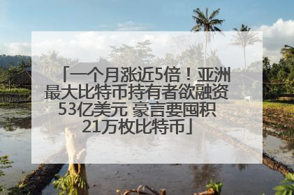 一个月涨近5倍！亚洲最大比特币持有者欲融资53亿美元 豪言要囤积21万枚比特币