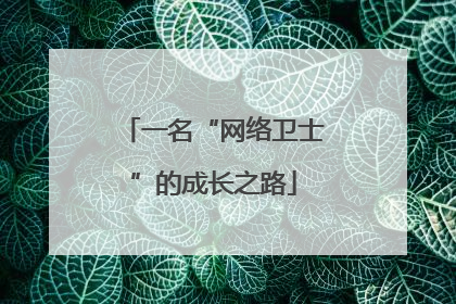 一名“网络卫士”的成长之路