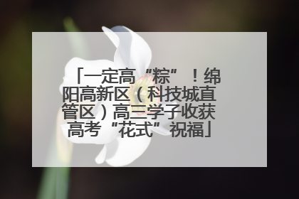 一定高“粽”！绵阳高新区（科技城直管区）高三学子收获高考“花式”祝福