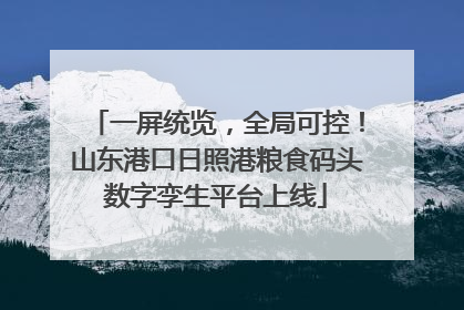 一屏统览，全局可控！山东港口日照港粮食码头数字孪生平台上线