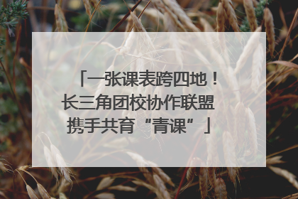 一张课表跨四地！长三角团校协作联盟携手共育“青课”