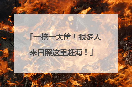 一挖一大筐！很多人来日照这里赶海！