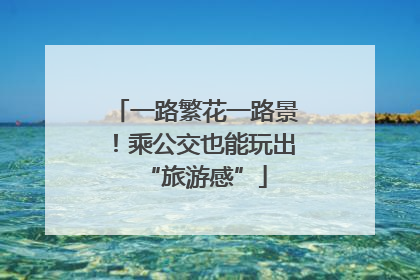 一路繁花一路景！乘公交也能玩出“旅游感”