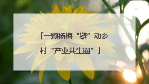 一颗杨梅“链”动乡村“产业共生圈”