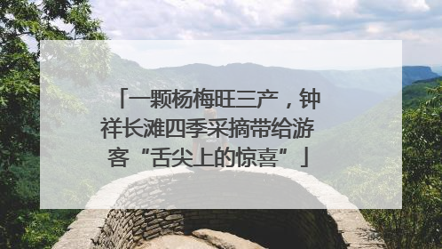 一颗杨梅旺三产，钟祥长滩四季采摘带给游客“舌尖上的惊喜”