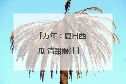万年：夏日西瓜 清甜爆汁