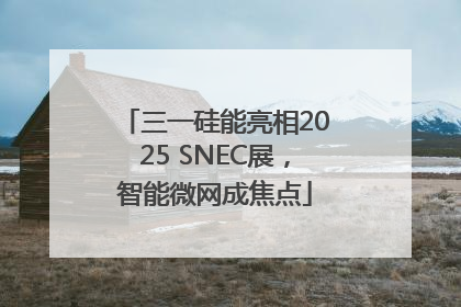 三一硅能亮相2025 SNEC展，智能微网成焦点