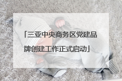 三亚中央商务区党建品牌创建工作正式启动