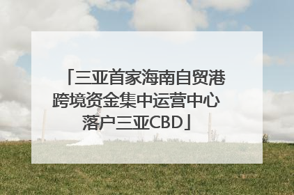 三亚首家海南自贸港跨境资金集中运营中心落户三亚CBD