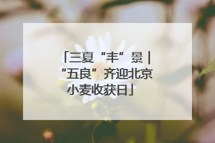 三夏“丰”景｜“五良”齐迎北京小麦收获日