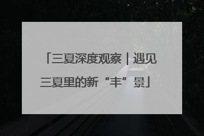 三夏深度观察｜遇见三夏里的新“丰”景