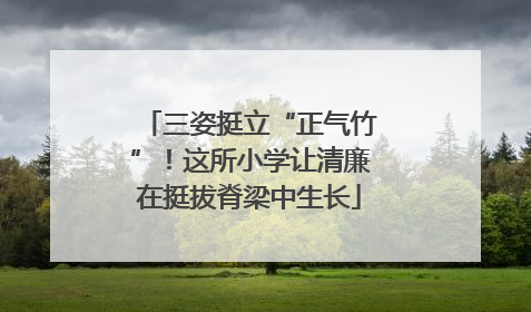 三姿挺立“正气竹”！这所小学让清廉在挺拔脊梁中生长