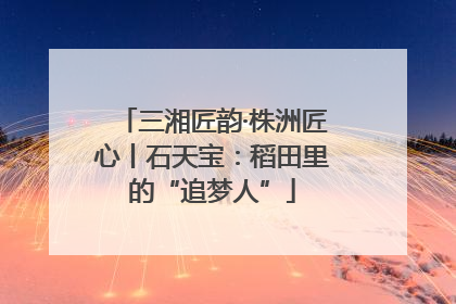 三湘匠韵·株洲匠心丨石天宝：稻田里的“追梦人”