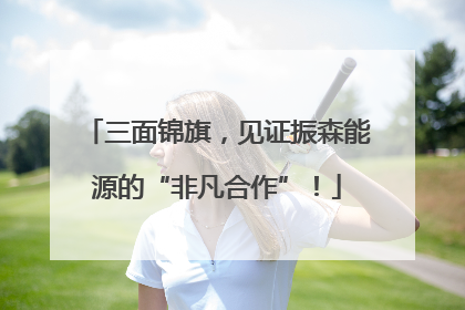 三面锦旗，见证振森能源的“非凡合作”！