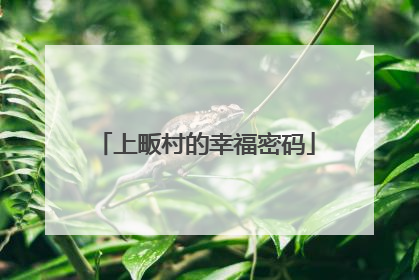 上畈村的幸福密码