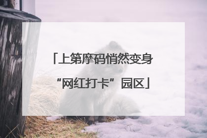 上第摩码悄然变身“网红打卡”园区