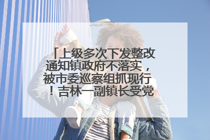 上级多次下发整改通知镇政府不落实，被市委巡察组抓现行！吉林一副镇长受党内警告处分