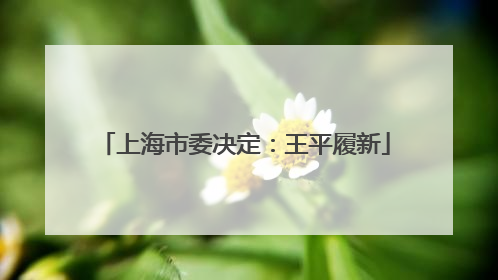 上海市委决定：王平履新