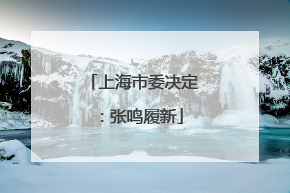 上海市委决定：张鸣履新
