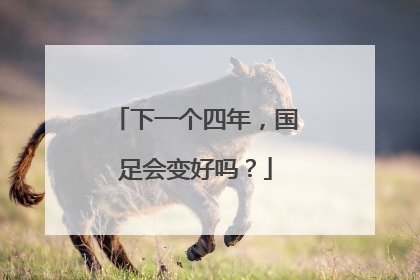下一个四年，国足会变好吗？