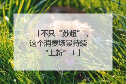 不只“苏超”，这个消费场景持续“上新”！