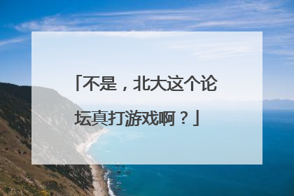 不是，北大这个论坛真打游戏啊？