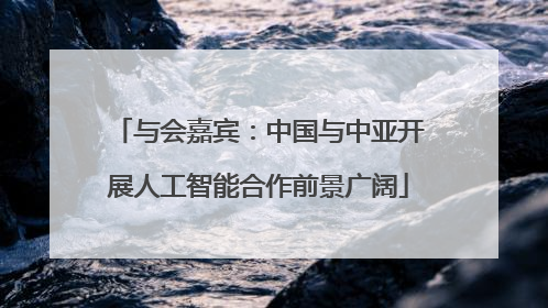 与会嘉宾：中国与中亚开展人工智能合作前景广阔