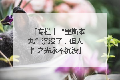 专栏丨“里斯本丸”沉没了，但人性之光永不沉没