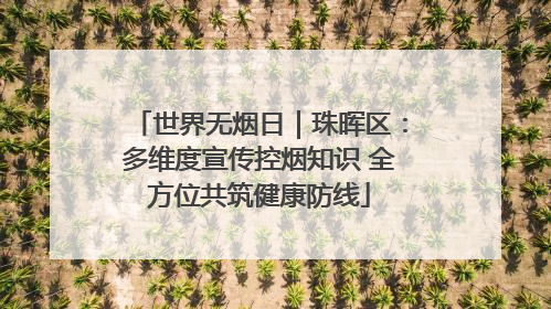 世界无烟日｜珠晖区：多维度宣传控烟知识 全方位共筑健康防线