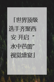 世界顶级选手齐聚西安 开启“水中芭蕾”视觉盛宴