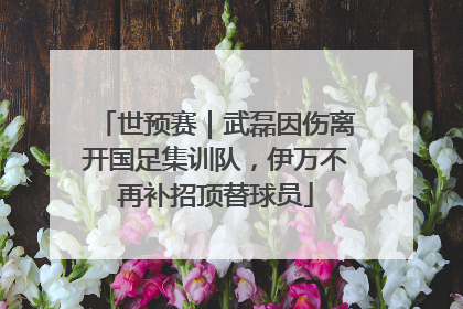世预赛｜武磊因伤离开国足集训队，伊万不再补招顶替球员