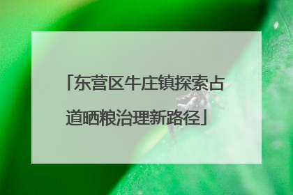 东营区牛庄镇探索占道晒粮治理新路径