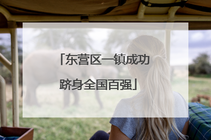 东营区一镇成功跻身全国百强