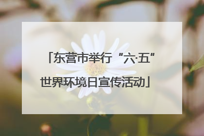 东营市举行“六·五”世界环境日宣传活动