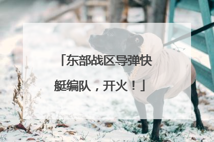 东部战区导弹快艇编队，开火！