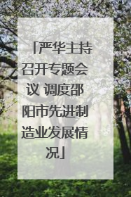 严华主持召开专题会议 调度邵阳市先进制造业发展情况